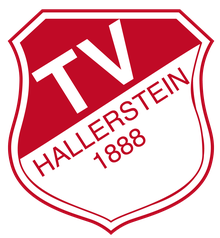 Logo TV Hallerstein